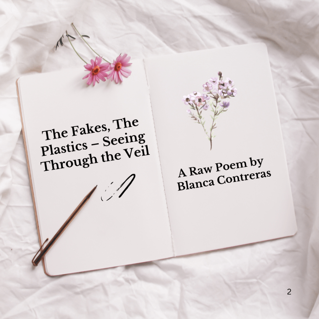 The Fakes, The Plastics – Seeing Through the&nbsp;Veil